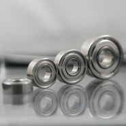 Ducro 10 - Bearing Set